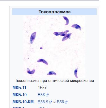 Няня, недорого