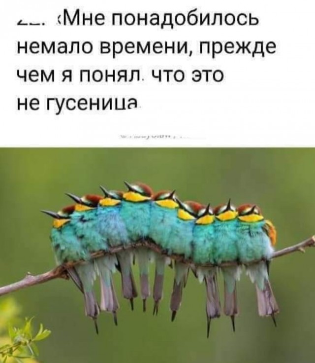 Так себе картинки 22.01.23