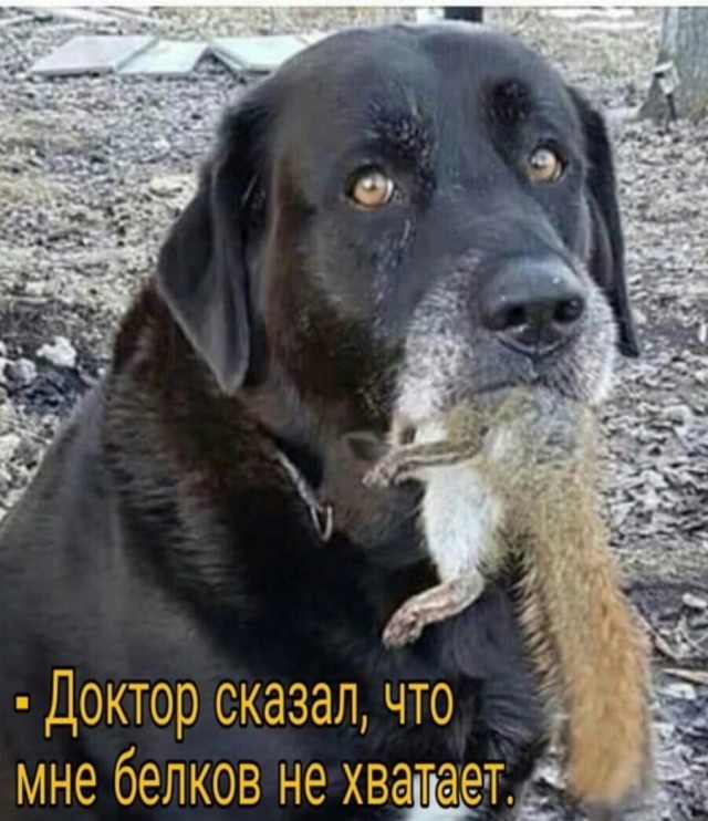 Нуштош 30.04.2023