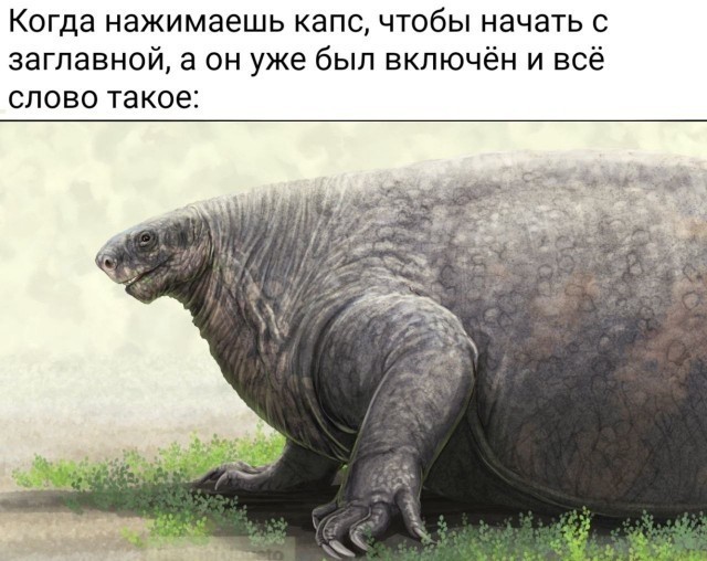Картинки и мемы, всяко разно - 175