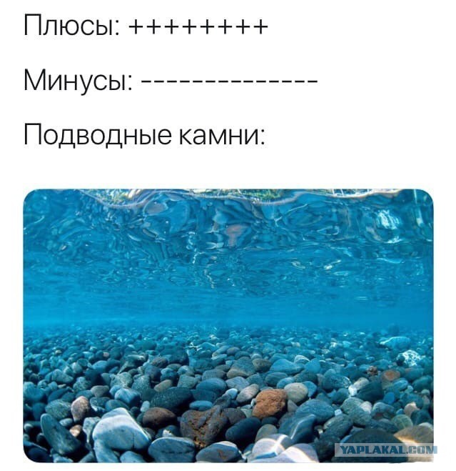 Кот Сырник
