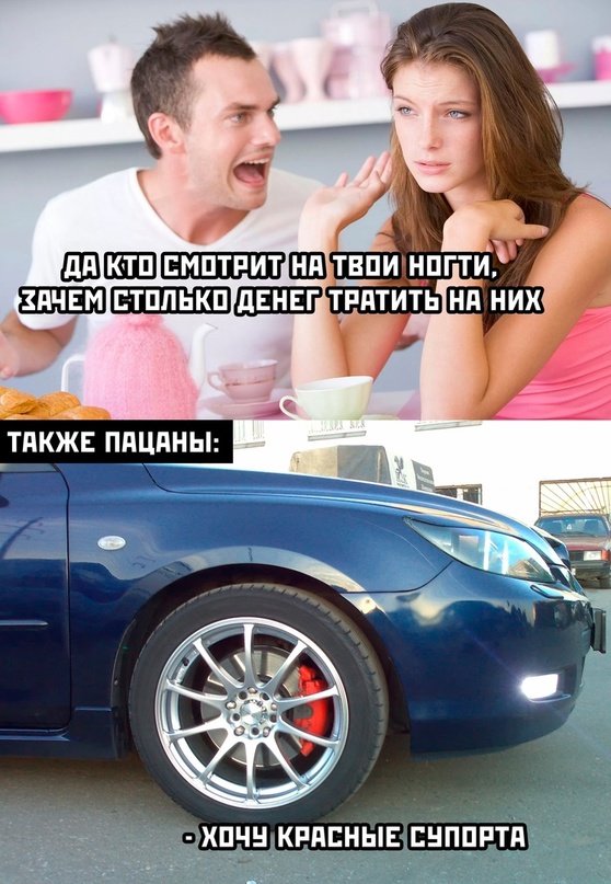 Весёлый полтишок 12.11.23