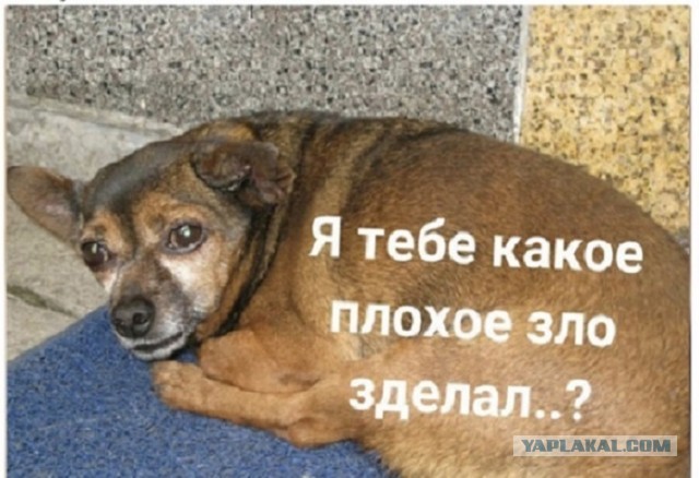 От финансов до здоровья: полезные советы на все случаи жизни