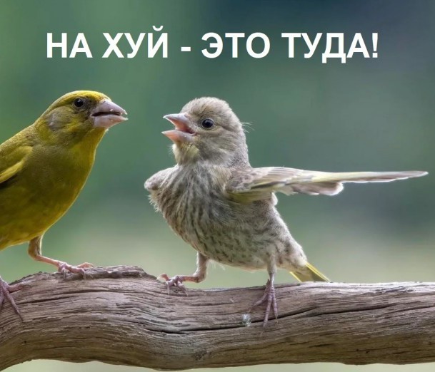 Продаж нет( Автомобили тонут в снегу на парковках дилеров