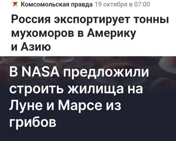 Завалялось тут случайно немного забавных картинок