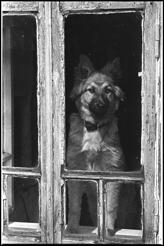 Фотографии из прошлого нашей страны – 83