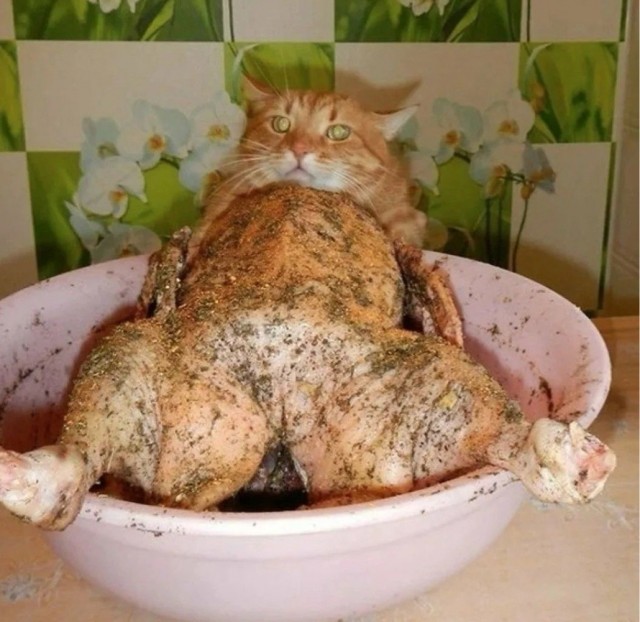 БаянЫ 3