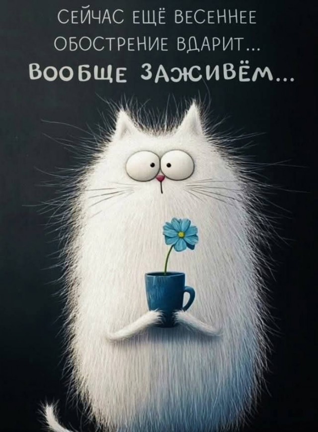 К котовторнику: подборка картинок-баянов с котиками и про котиков. Выпуск 8