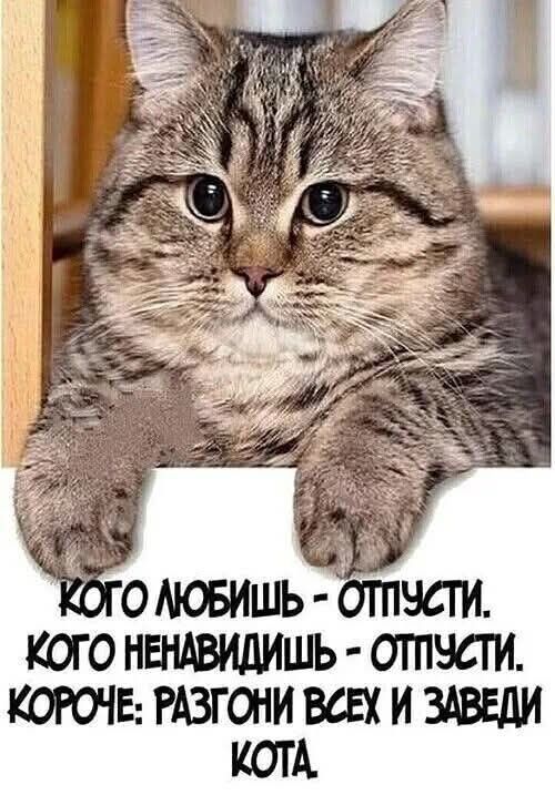 Картинки разные с надписями и без
