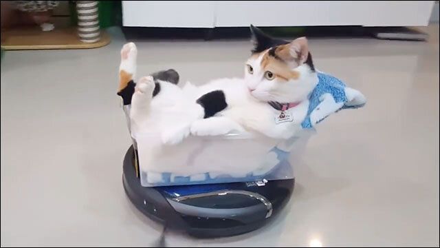 Робот, который смог отстоять личные границы