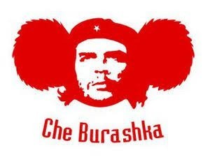 Чебурашковое расследование продолжается.