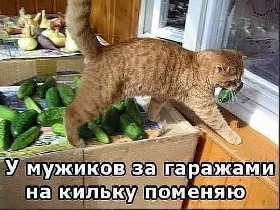 Воскресные картинки