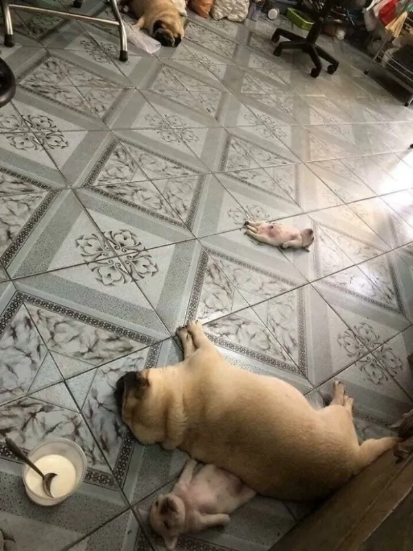 Забавные и интересные фото из Сети 23.04.26