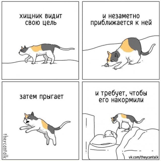 К котовторнику: подборка картинок-баянов с котиками и про котиков. Выпуск 40.