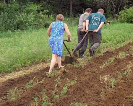 Подборка прикольных фото.