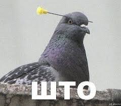 Добряки, плюсующие всех подряд