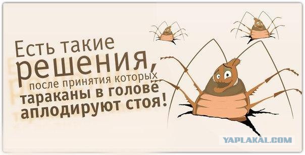30 саркастичных «аткрыток»