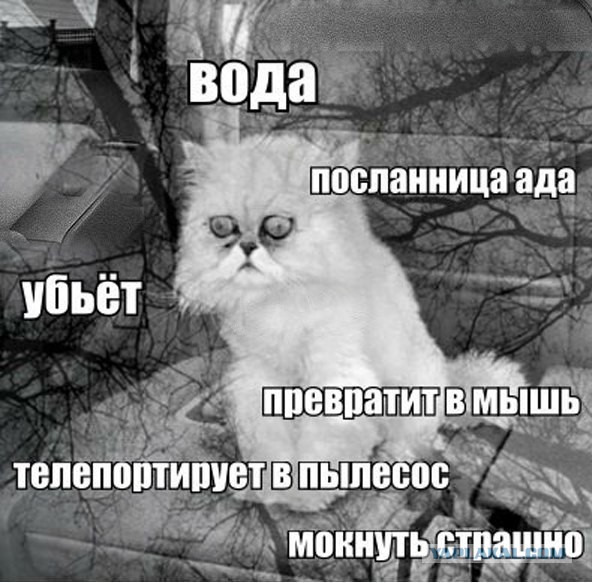 Чёрный юмор