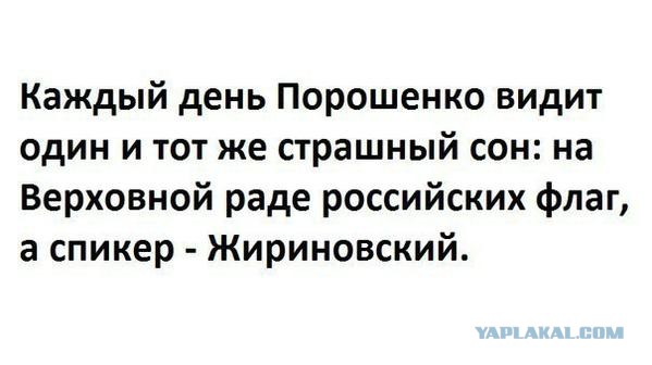 Веселые картинки