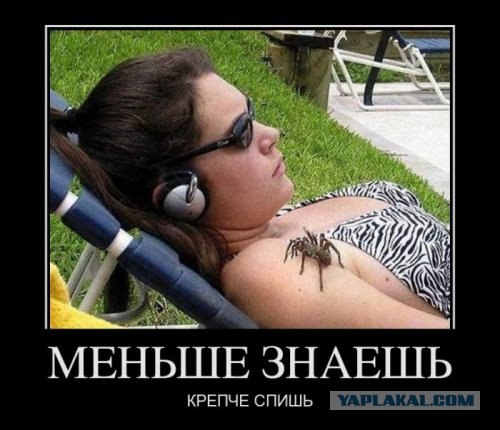 Апокалипсис 2012. Паника нарастает.