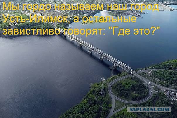 Тамбовский волк тебе товарищ...
