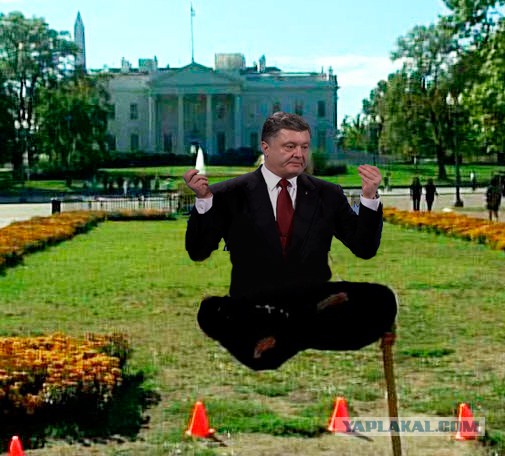 Что еще предложит Петя?