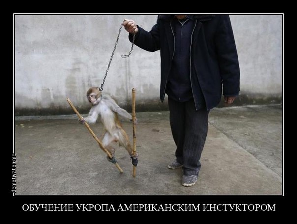 Политические карикатуры