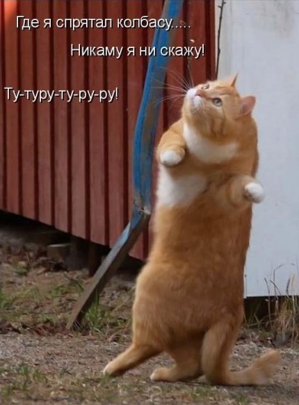 Обидели котейку? Получите, распишитесь!