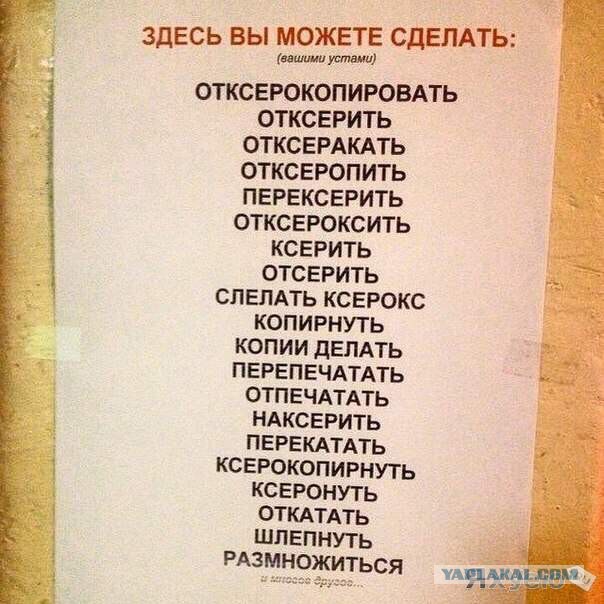 Забавные картинки из Сети