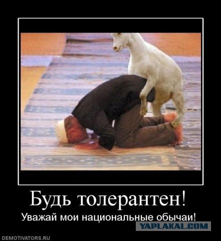 Привет от Магомеда