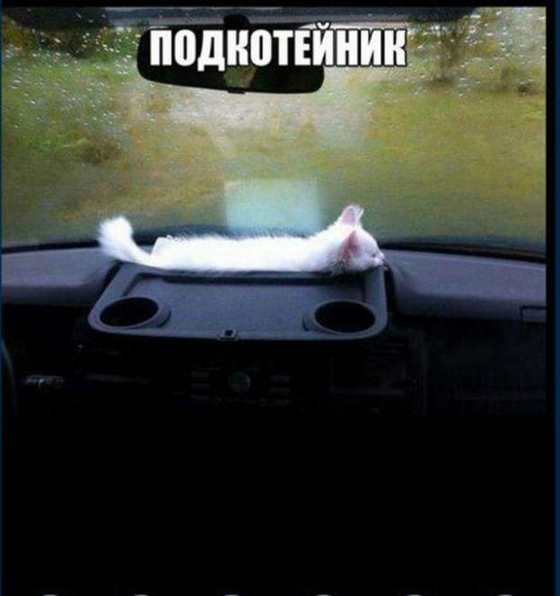 Автоприколы-5