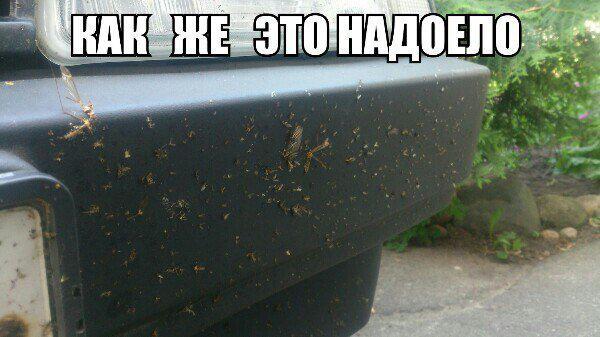 Автоприколы-9