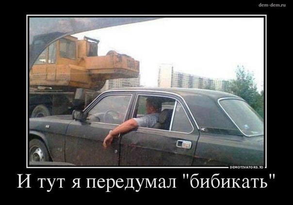 Забавные картинки из Сети