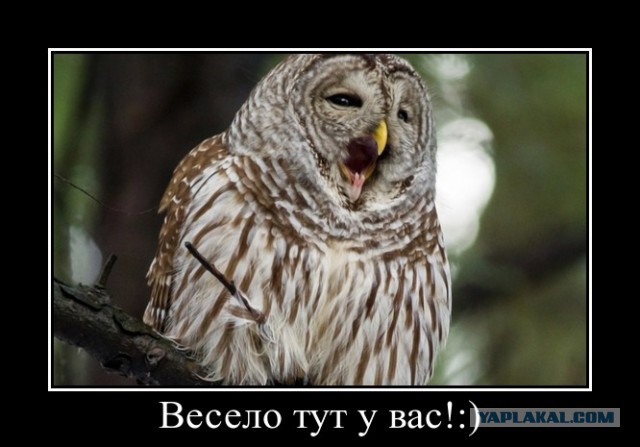 Ночью в школе