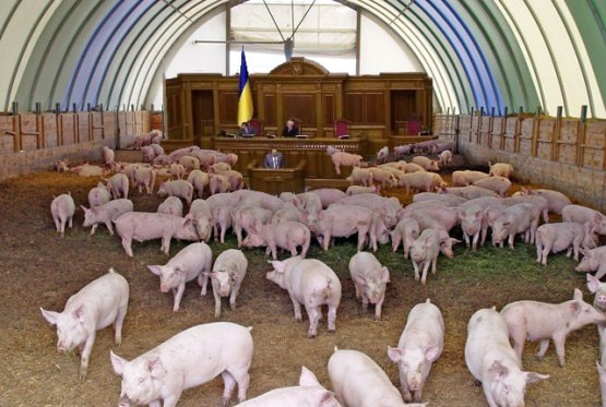 Митингующие в Киеве штурмуют здание Рады
