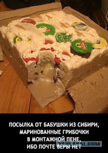 Приколы из сети