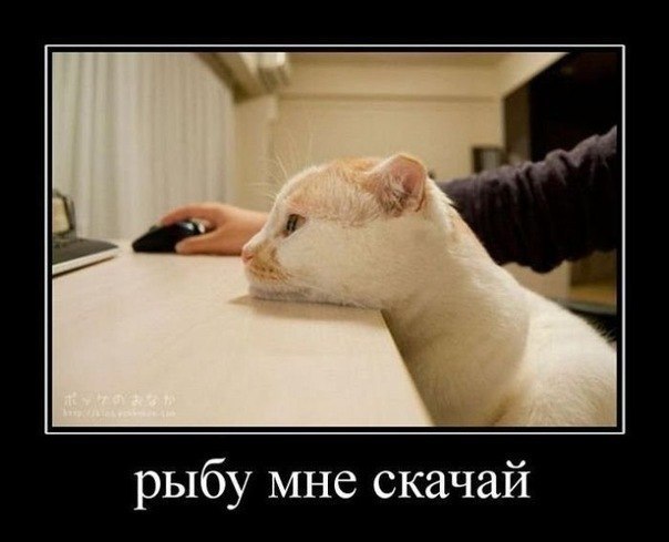 Картинки и демотиваторы