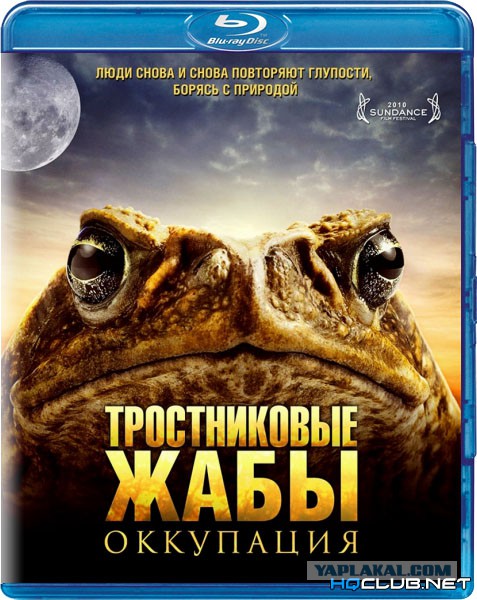 Вспомним своих бывших