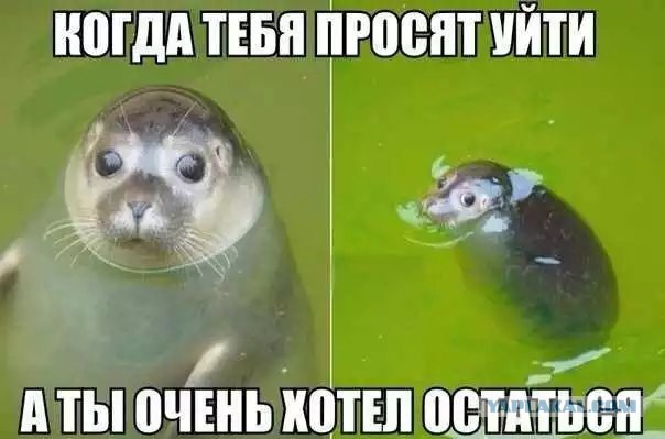 Подборка картинок из сети