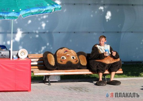 ЧЕБУРАШКА и все про чебурашку
