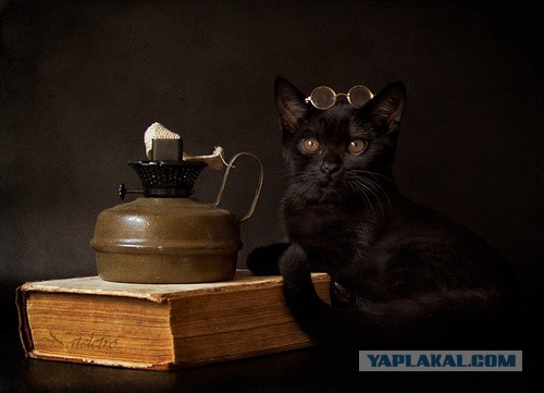 Новый уровень френдзоны