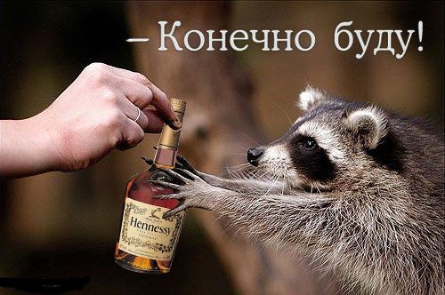 Подборка картинок