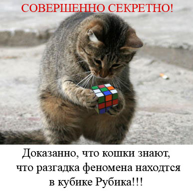 Фотожаба: Желтая пресса