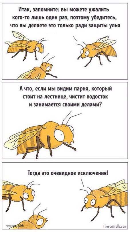 Весёлые картинки