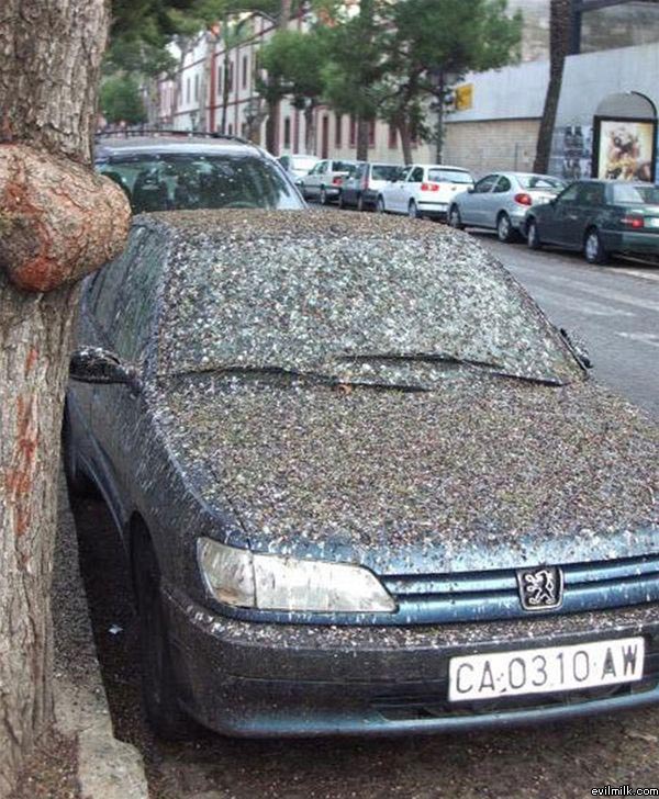 Природа против Авто