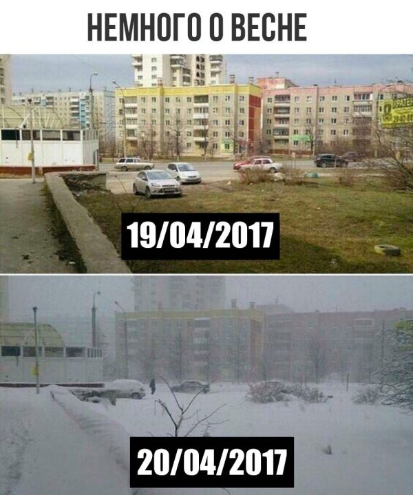 Подборка безудержного веселья
