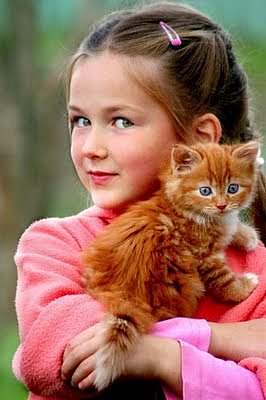 Коты и Кошки