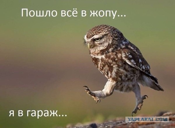 5.11.17. Не ждем. Не готовимся