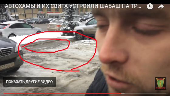 Истеричка со справкой, тюремное быдло VS активисты