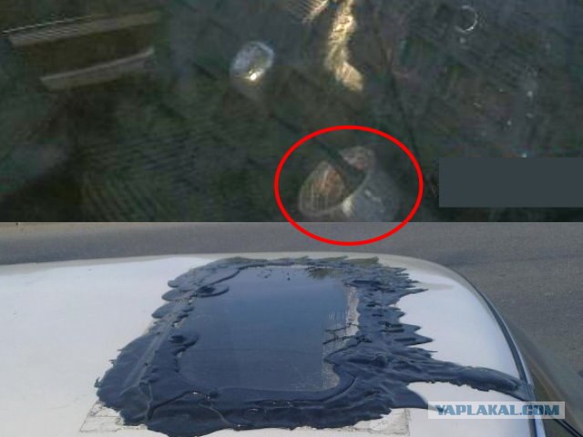 Волга TRASH